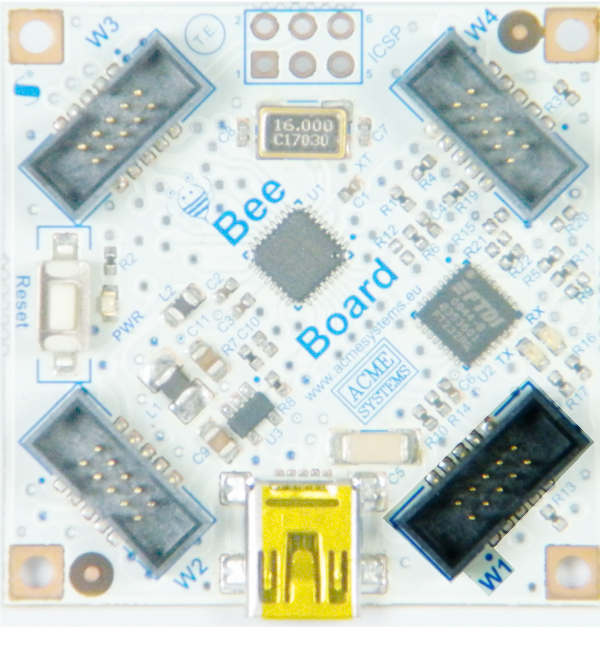 BeeBoard Wing W1